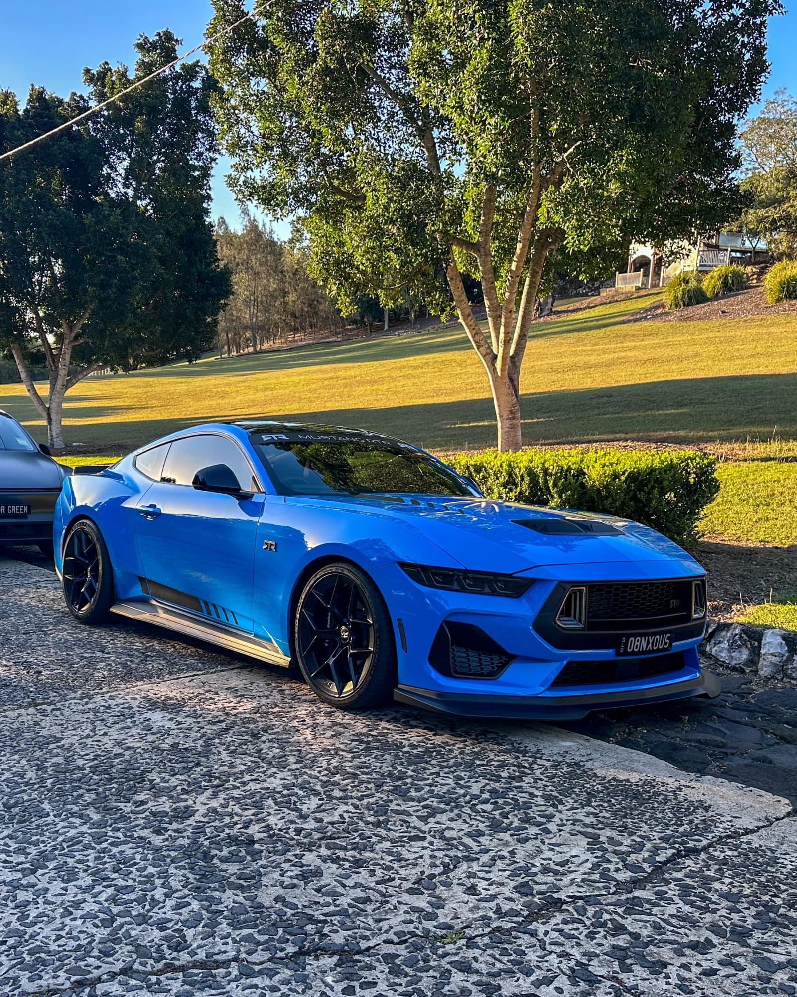 2025 Mustang listing image